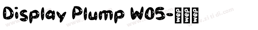 Display Plump W05字体转换